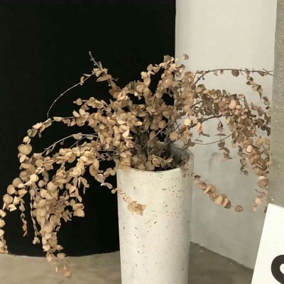 Furry插画背景绘制技巧兽圈社群